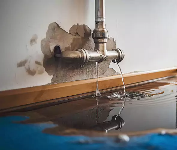 Professional Water Damage Restoration Experts in New Iberia, LA — Fast, Reliable & Certified