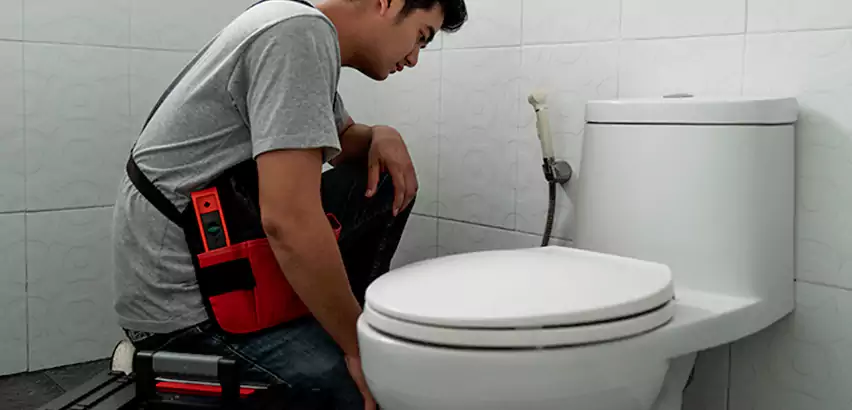 Toilet Repair in New Iberia